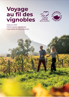 Voyage au fil des vignobles 2025