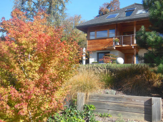 Automne aux Perrelles