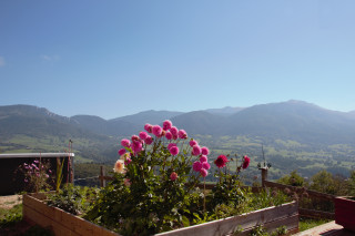 vue depuis la terrasse vue depuis la terrasse