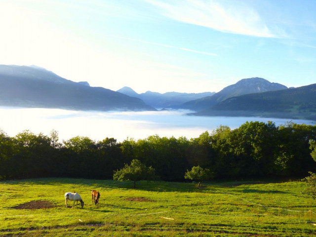La vue de la maison le matin, quand les lacs de Lescheraines retiennent un manteau de brume... Chevaux et ânes dans le pré...