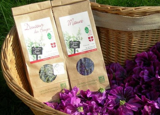 Nous transformons également nos plantes en infusions, simples ou composées, telles que la Verveine, le Thym citronné, La Tête dans les Etoiles ou Douceurs des Bauges....
