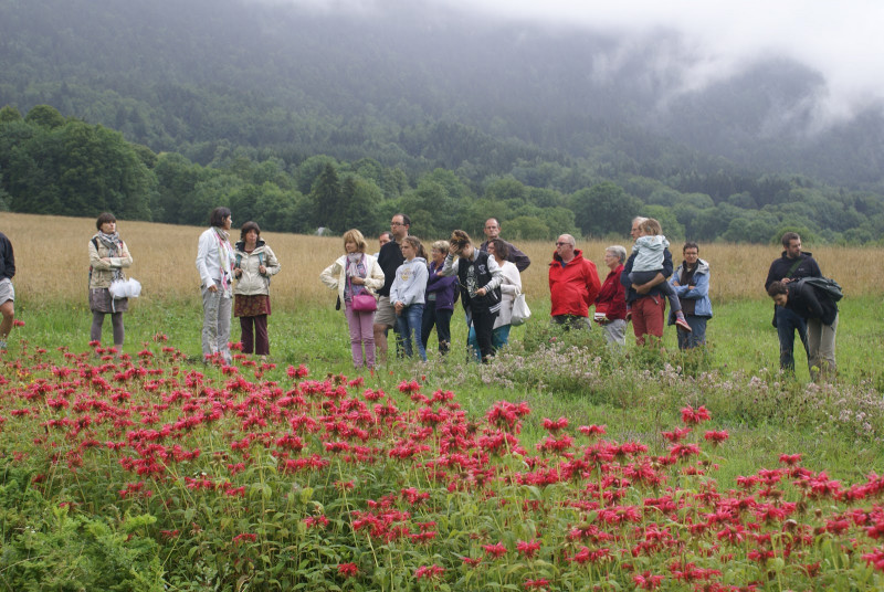 Visite de cultures