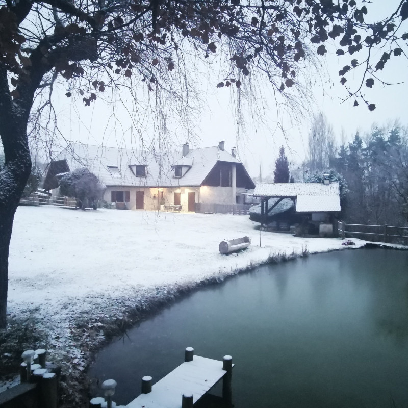 img_20201201_074906_548.jpg img_20201201_074906_548.jpg