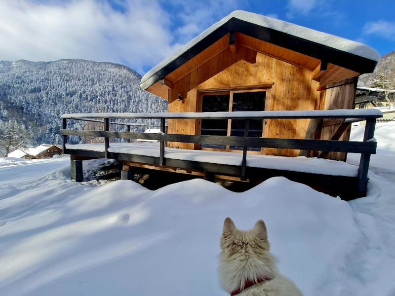 la cabane