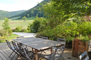 23320275.jpg.jpg 23320275.jpg.jpg