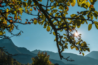 Extérieurs gite le Moulin Massif des Bauges Extérieurs gite le Moulin Massif des Bauges