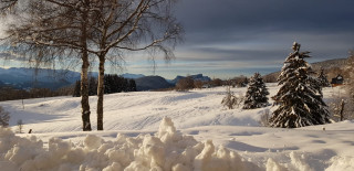 La prairie hiver 17 - © IDCZAK JB La prairie hiver 17