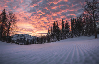 Séjour ski Séjour ski