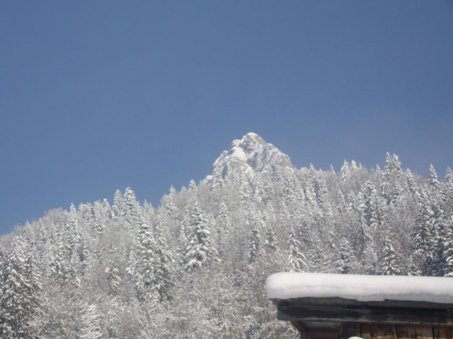 Derrière l'Edelweiss, la Dent de Pleuven.