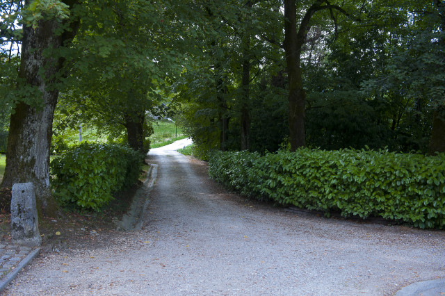 allée d'accès au manoir
