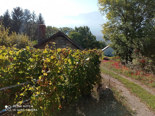 chemin pédestre attenant