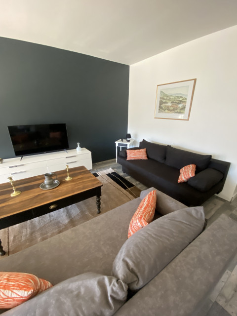 Salon avec 2 canapés, table basse et télévision