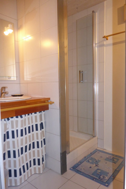 Salle d'eau - Les Frênes - M. et Mme Besançon/Montgelard_Sainte-Reine