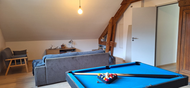 espace de vie avec billard, canapé