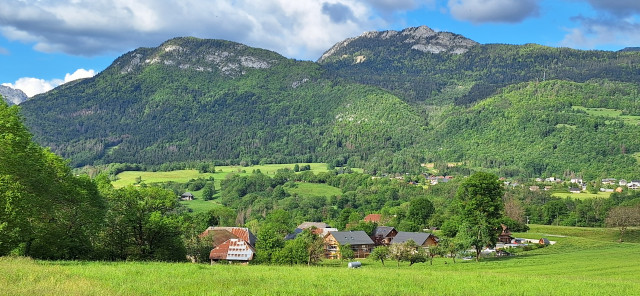 maisons nichées dans une nature verdoyante