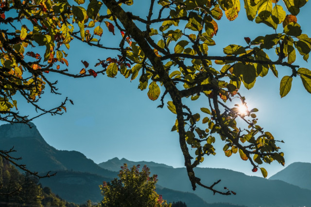 Extérieurs gite le Moulin Massif des Bauges