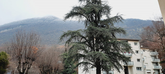 Studio Le Granier - Vue montagne le Granier