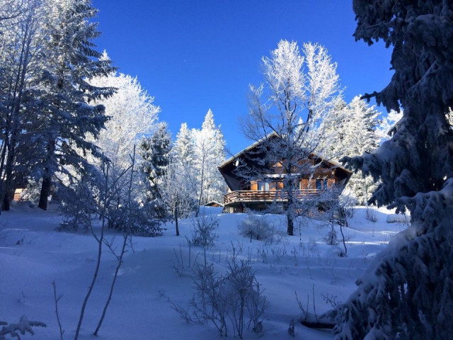 chalet des airelles