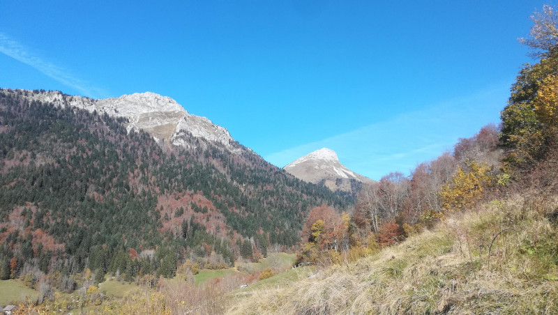 Vue sur les montagnes