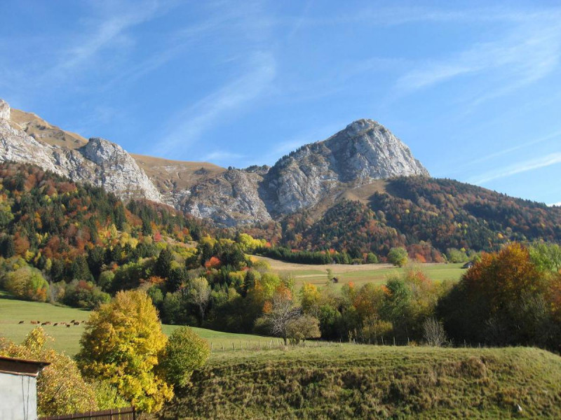 Paysage autour de l'hébergement à Doucy