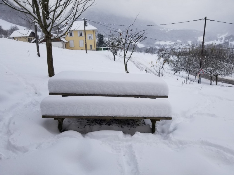 Partie de neige !