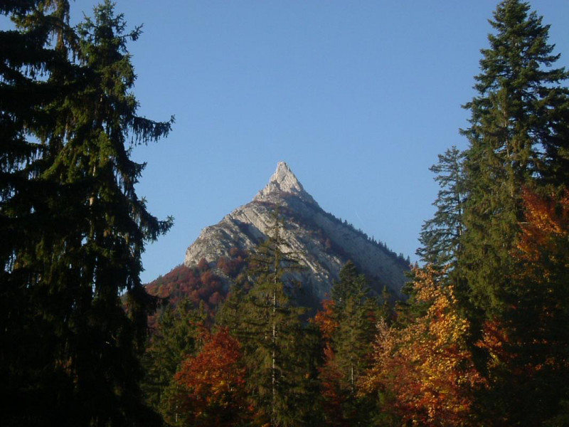 Roc des Boeufs à l'automne