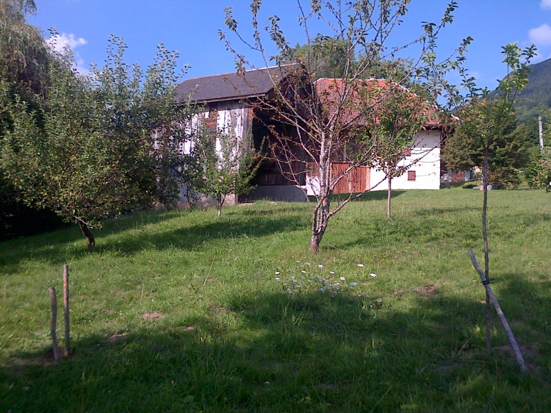 La nature