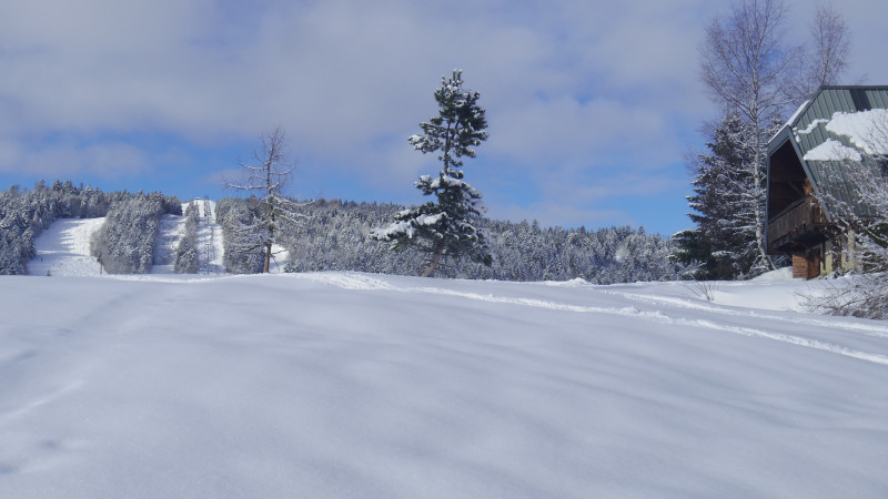 Borboelon - © Bouvier Borboelon