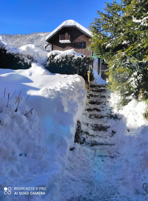 Jardin sous la neige avec les marches d'accès déneigées