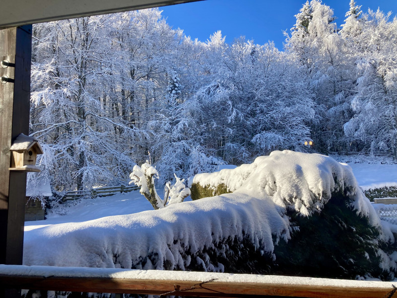 Le petit chalet_La Féclaz