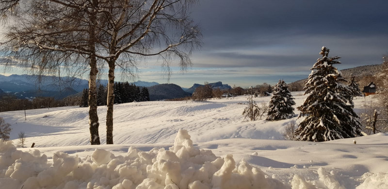 La prairie hiver 17 - © IDCZAK JB La prairie hiver 17