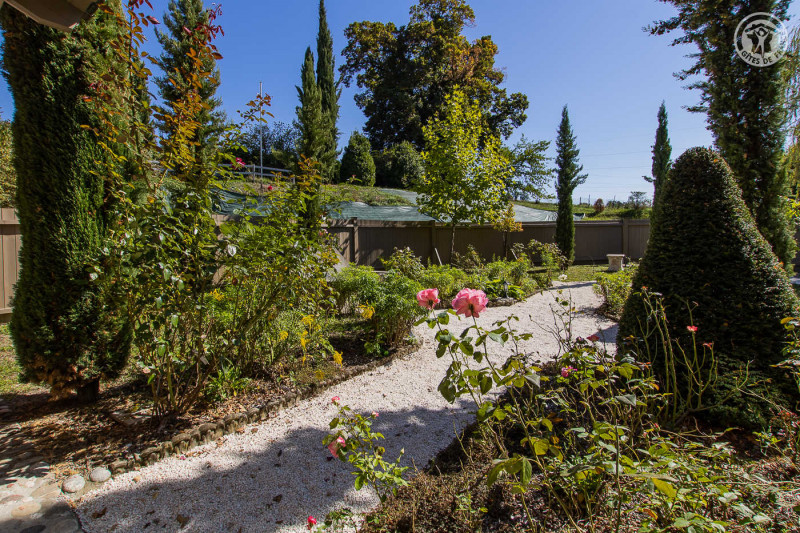 16835621.jpg.jpg 16835621.jpg.jpg