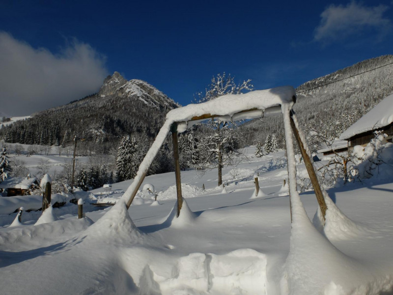 33684167.jpg.jpg 33684167.jpg.jpg