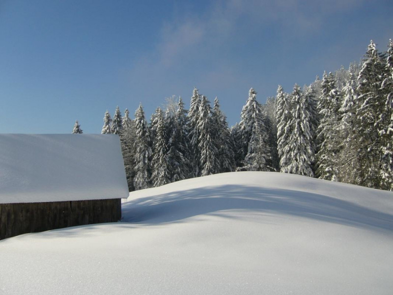 A deux bas du gite.. A deux bas du gite..