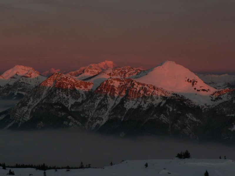 Sur le Margeriaz. Au fond le Mont Blanc