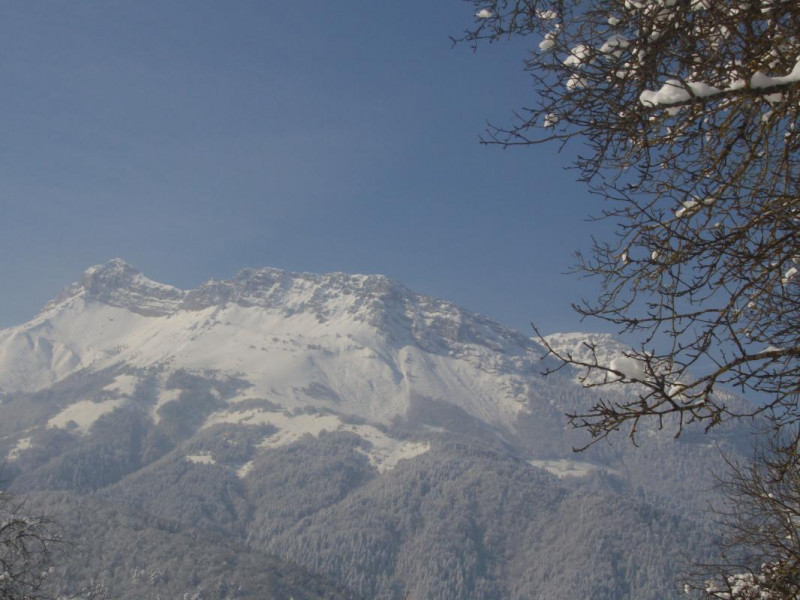 Vue sur le Mont Colombier de l'Edelweiss. Vue sur le Mont Colombier de l'Edelweiss.