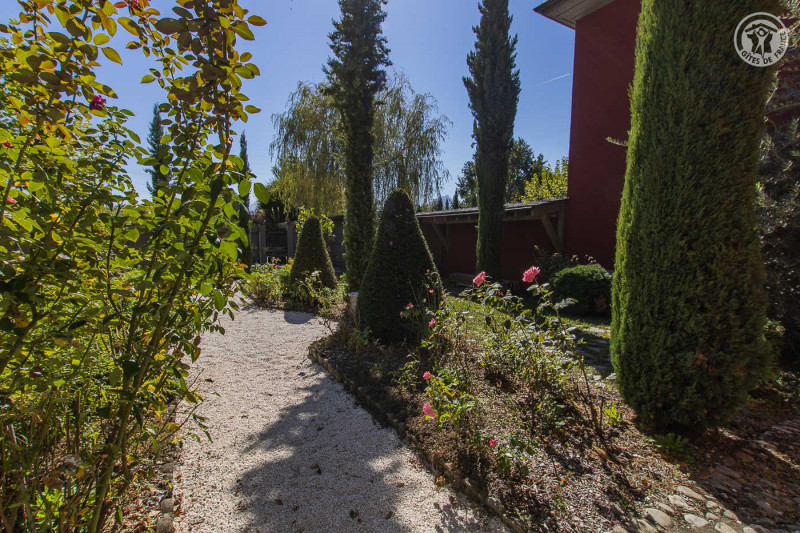 16835622.jpg.jpg 16835622.jpg.jpg