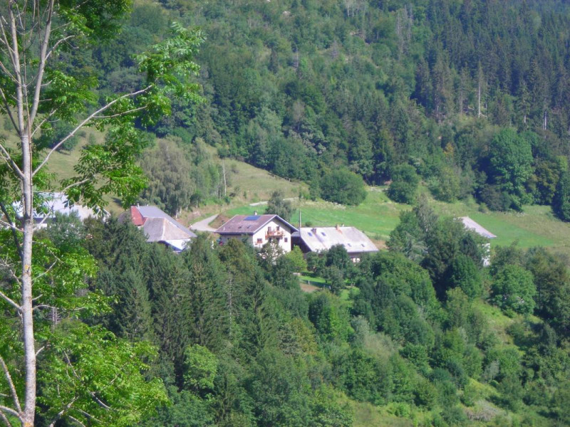 la maison dans son écrin de verdure