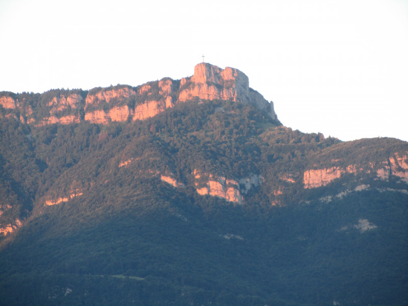 LMS 7307-2020 LMS 7307-2020