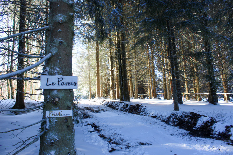Pareis - © François Pareis