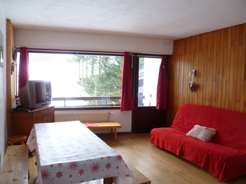 Avec balcon et vue sur les pistes Avec balcon et vue sur les pistes