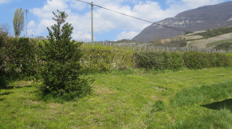 Vue externe - © Virone Cristina Vue externe