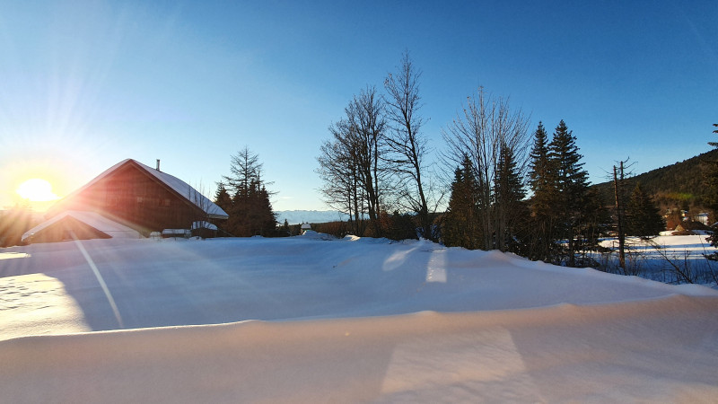Les marmottes des mélèzes Les marmottes des mélèzes