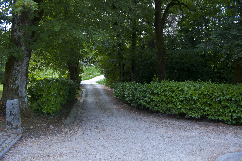 allée d'accès au manoir