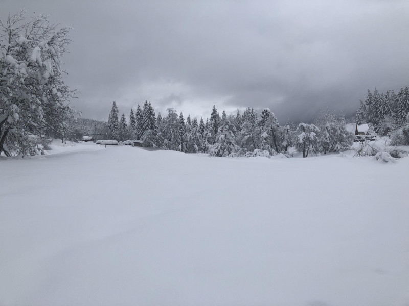 L'ourson_La Féclaz L'ourson_La Féclaz