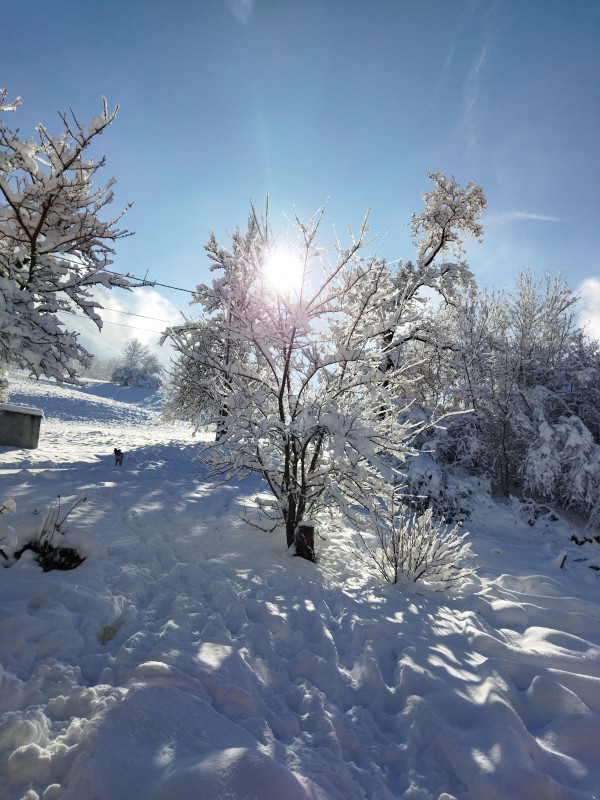 Nid d'Aillon - © Debue Caroline Nid d'Aillon