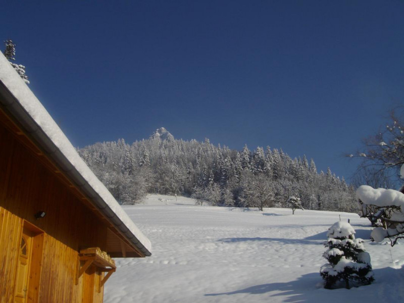 Gîte Le Pleuven - Sabot de Vénus  - M. et Mme Petit_Jarsy