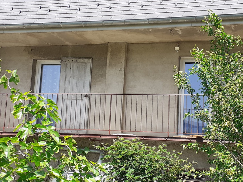 Mésanges - © Chery Elisabeth Mésanges