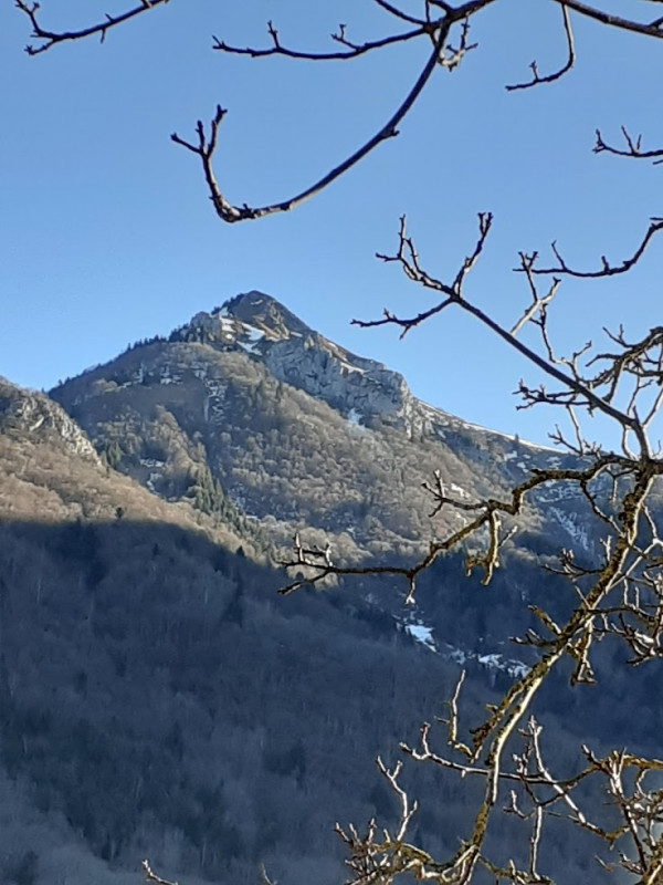 Mésanges - © Chery Elisabeth Mésanges