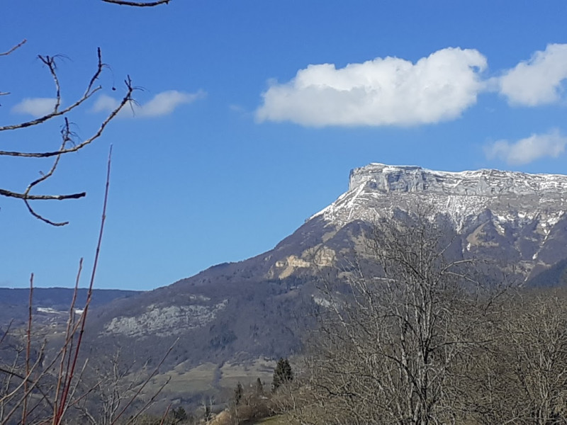 Mésanges - © Chery Elisabeth Mésanges